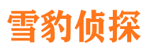 监利捉小三公司